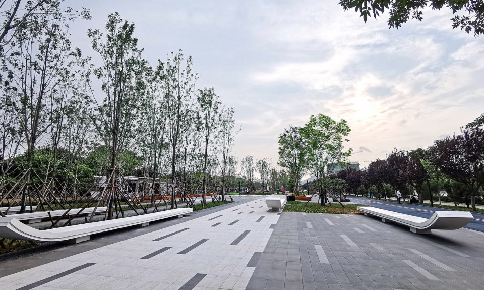 枣庄科创绿廊(一期)丨中国枣庄丨同圆设计集团股份有限公司——景观设计研究院-97