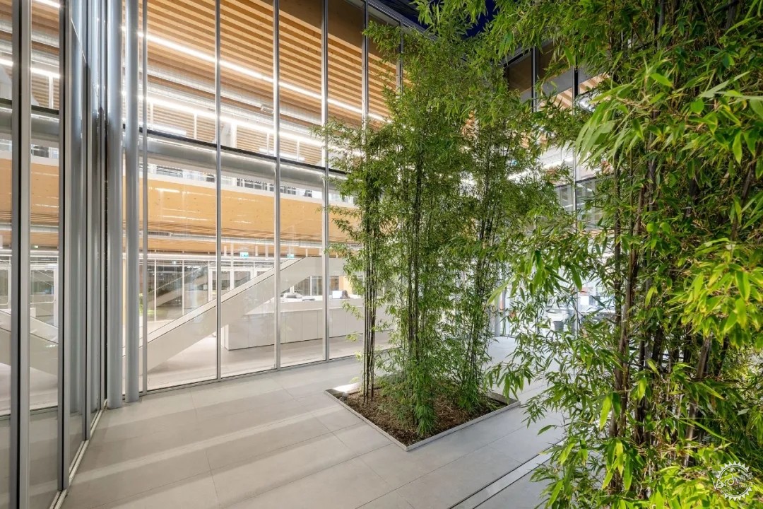 簡約綠色—低碳辦公Iperceramica - WEHOUSE-7