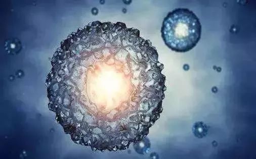 《Science》公布的 125 个最具挑战性的科学问题,你感兴趣的是哪个?-128