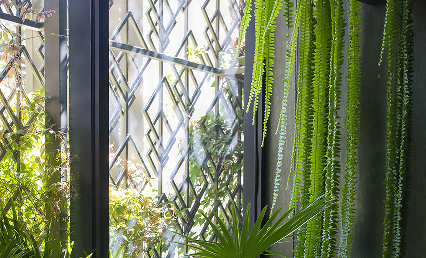 栀子丨哥斯达黎加圣何塞丨Studio Saxe-57