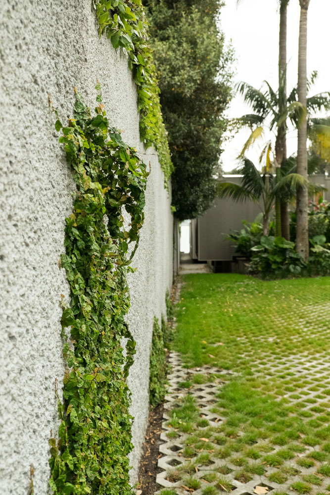 Argyle House 的有机庭院景观-34