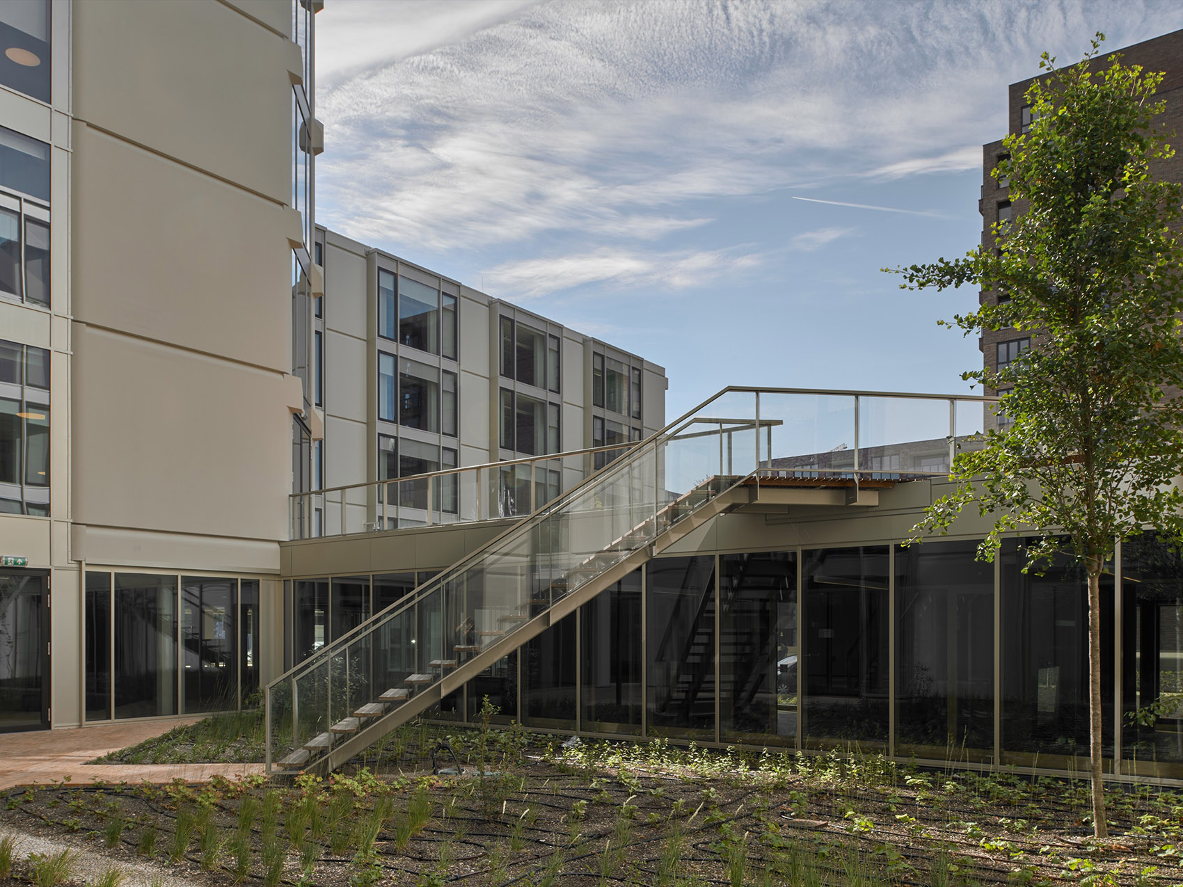 Rijkskantoor Haarlem改造丨荷兰丨Beyond Space,MVSA Architects-8