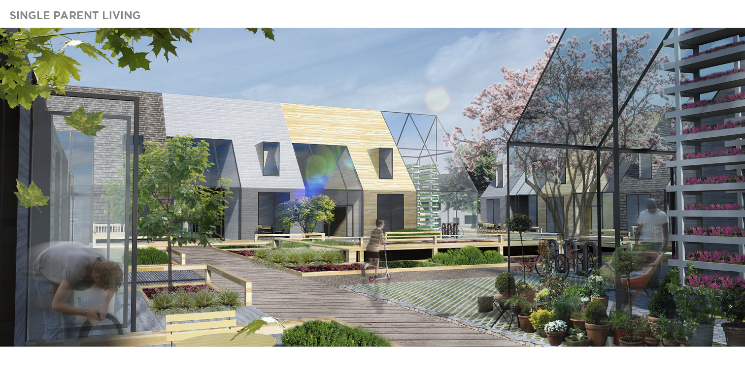 荷兰圩田模式 · 郊区生活与生物农场社区的弹性共生-7