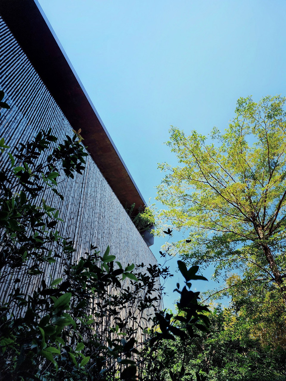 The Vibes多功能空间丨越南胡志明市丨Infinitive Architecture-38