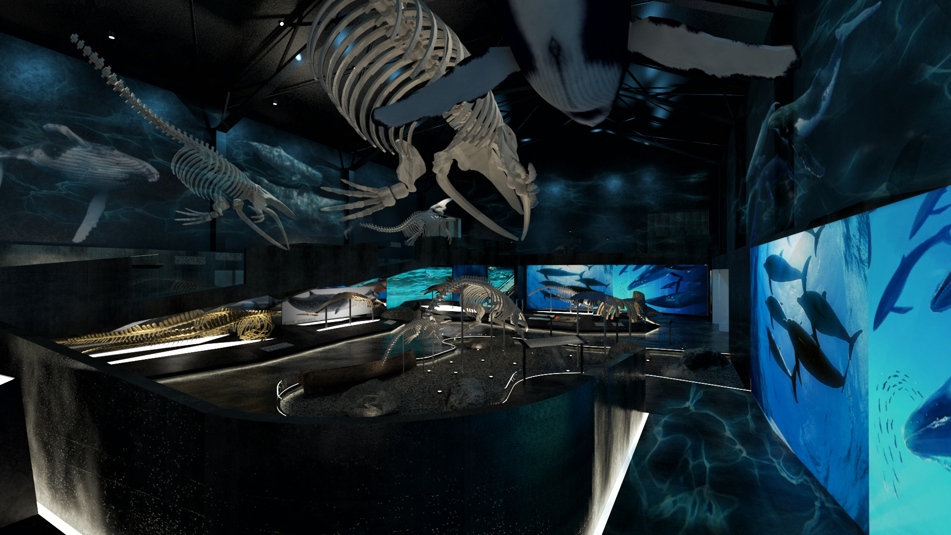 Taijiang the whale 2·0·台江鲸鱼标本馆改造设计丨DEAN DESIGN-15