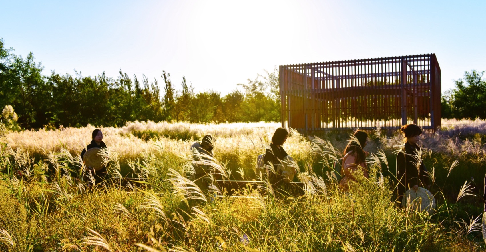 饮鹿池公园丨中国北京丨北京林业大学风景园林规划设计研究院+山水和泓+原筑景观-1