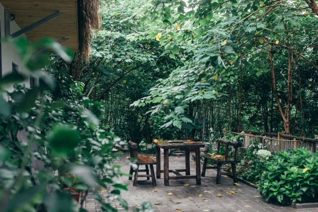 树林中的神仙小院 · 摄影师夫妻 10 万元爆改租住房丨中国北京-90