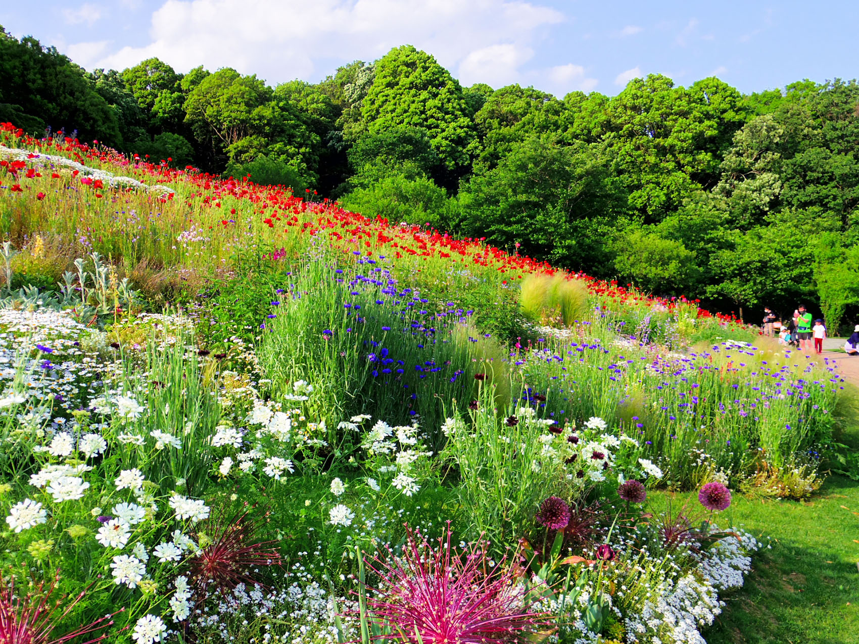 日本里山花园丨户田芳树风景计画-49