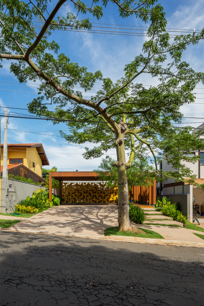 巴西森林之家-38