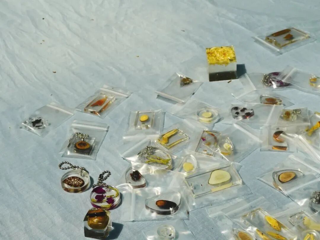 “见天地，愈身心”：我院景观系师生打造中医药疗愈花园@上海国际花展-37