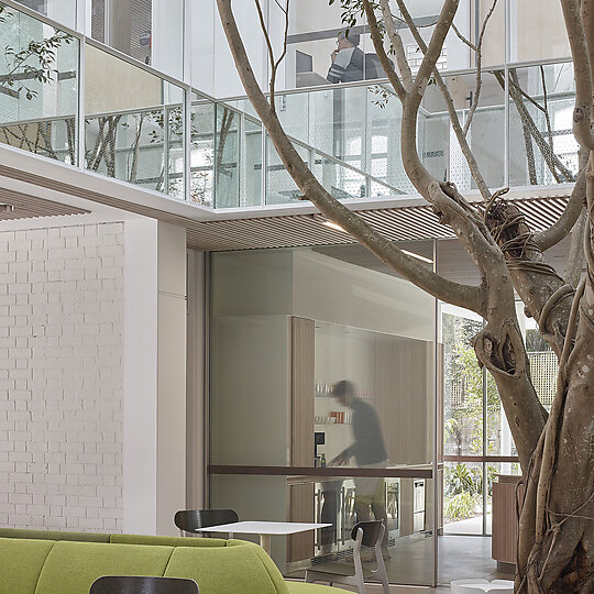 Campbell House by Tonkin Zulaikha Greer | Australian Interior Design Awards-3