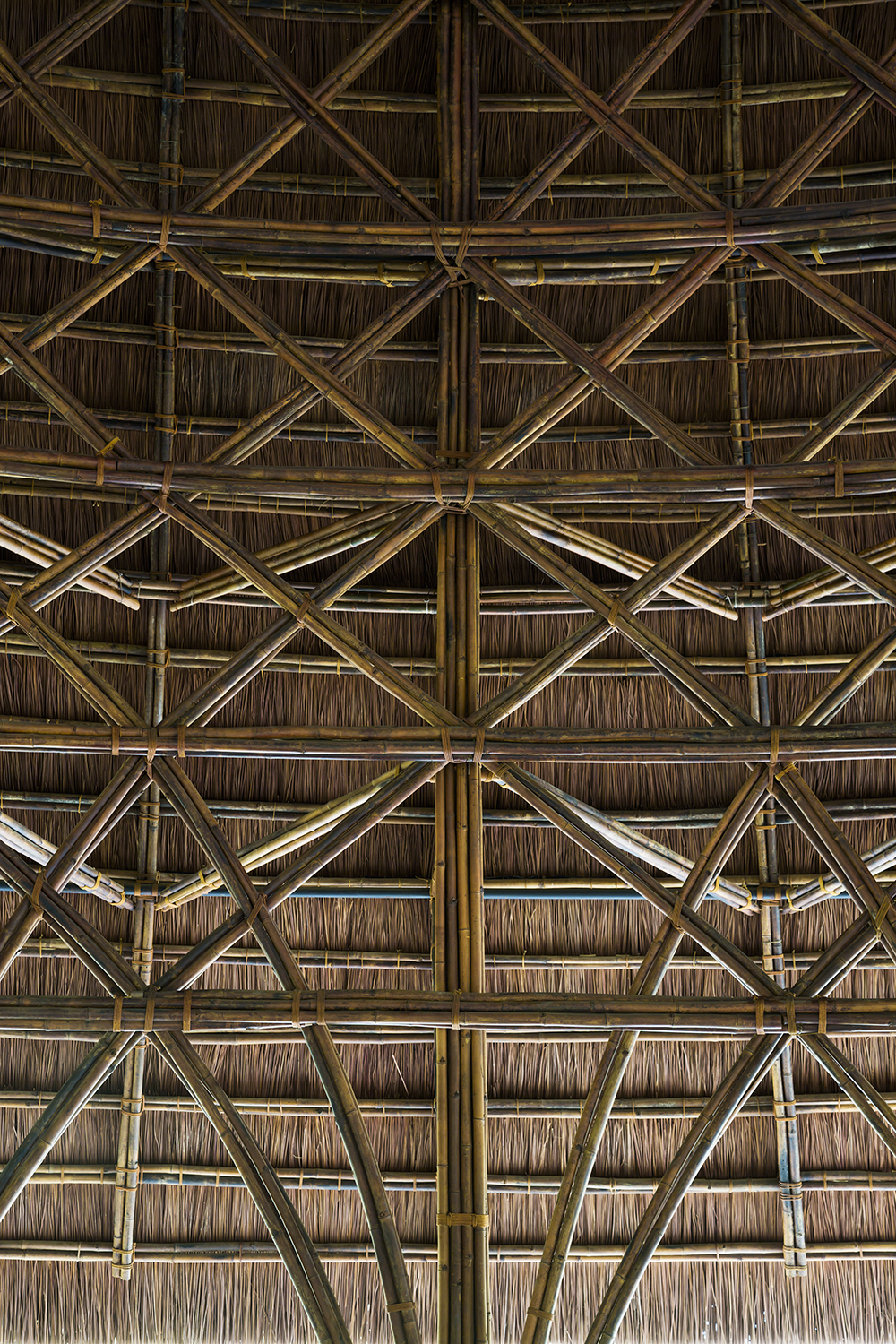 竹屋群，越南 / 武重义建筑事务所-30