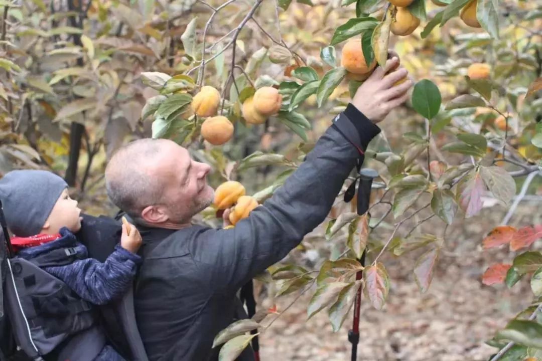 长城脚下世外桃源,德式乡村生活梦想成真-63