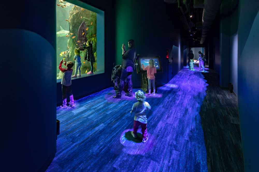 St· Louis Aquarium(圣路易斯水族馆)丨阿根廷圣路易斯-7