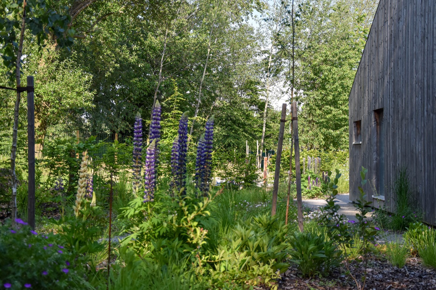 自然之境 · 现代乡村家庭花园-23