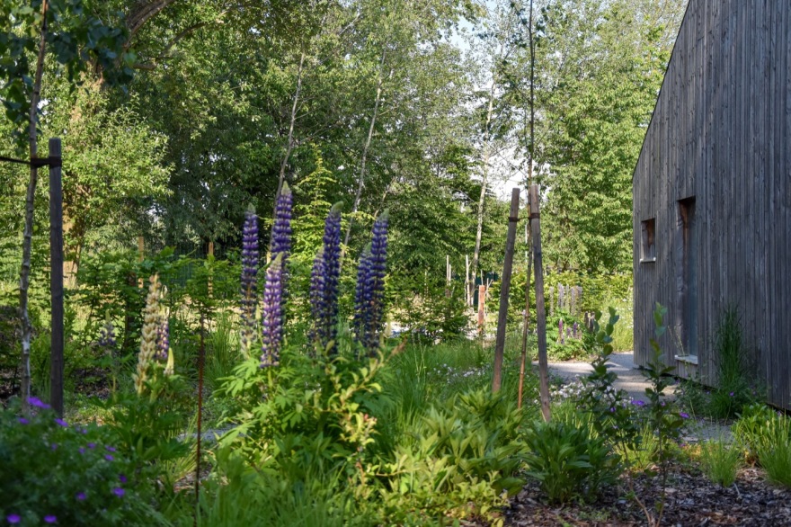 自然之境 · 现代乡村家庭花园-23