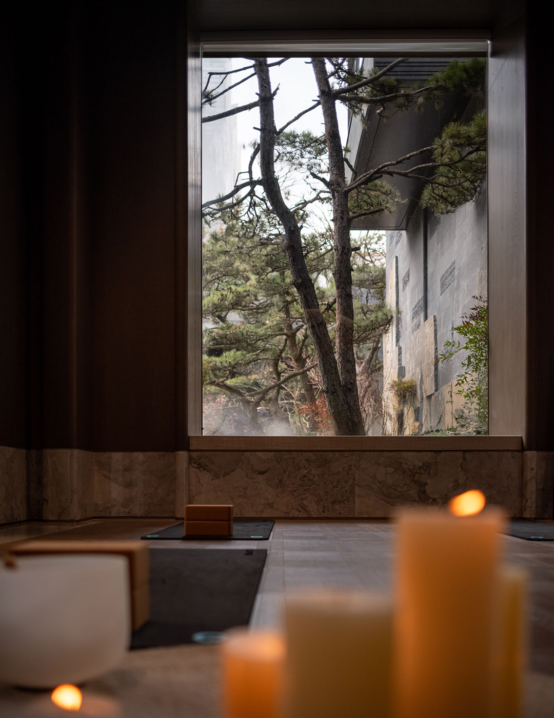 绿城台州臻园丨中国台州丨近境制作,春山秋水-0