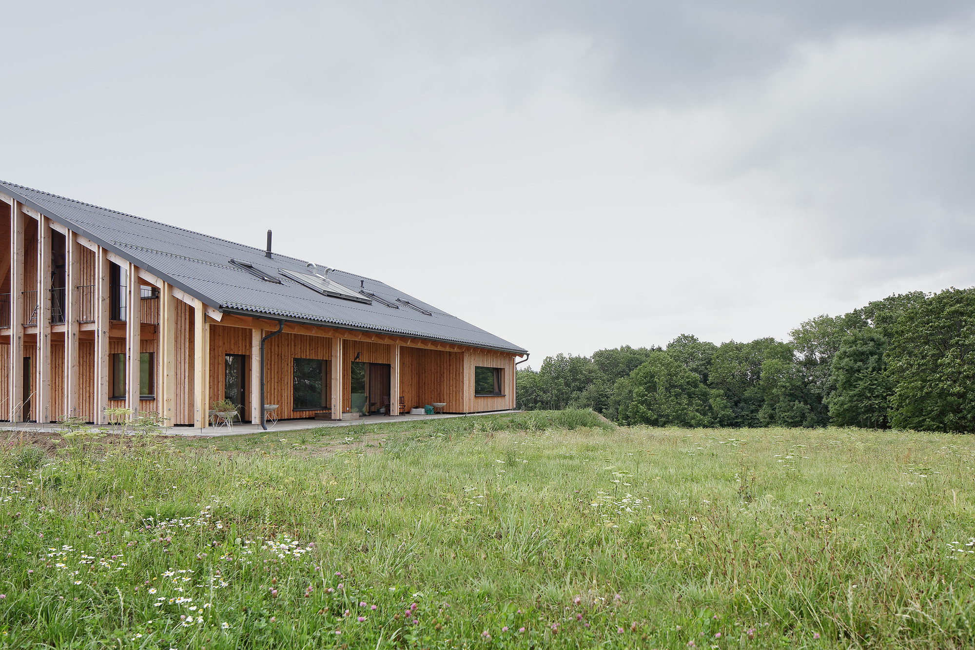 房子 SF 或 众议院 SF （具体需根据上下文确定）丨奥地利丨Moser und Hager Architekten-22