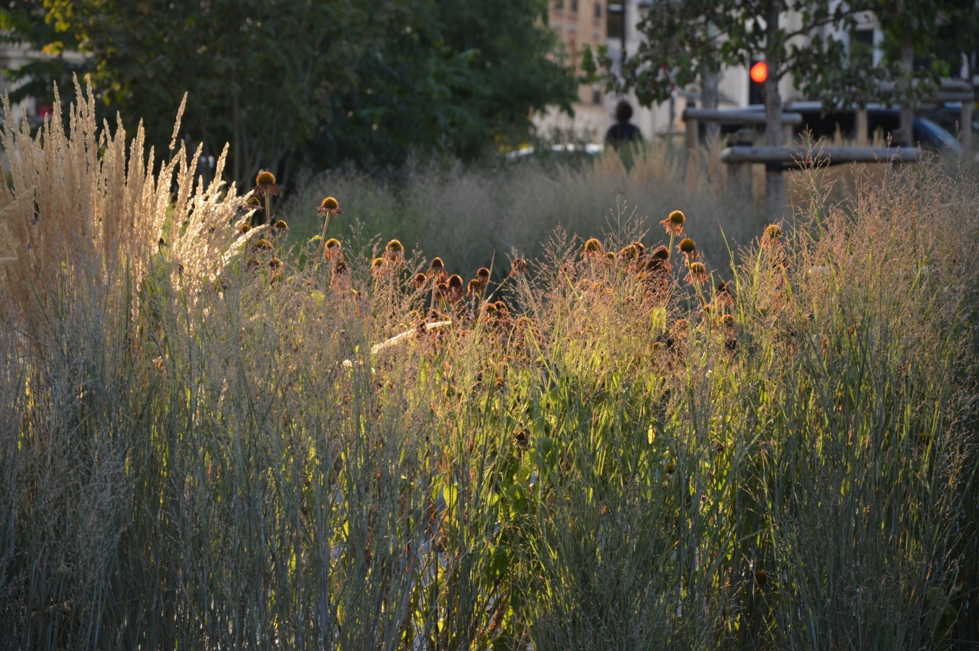 Place Hérold及l’Abbé Pierre前广场改造项目丨atelier VILLES & PAYSAGES等-19