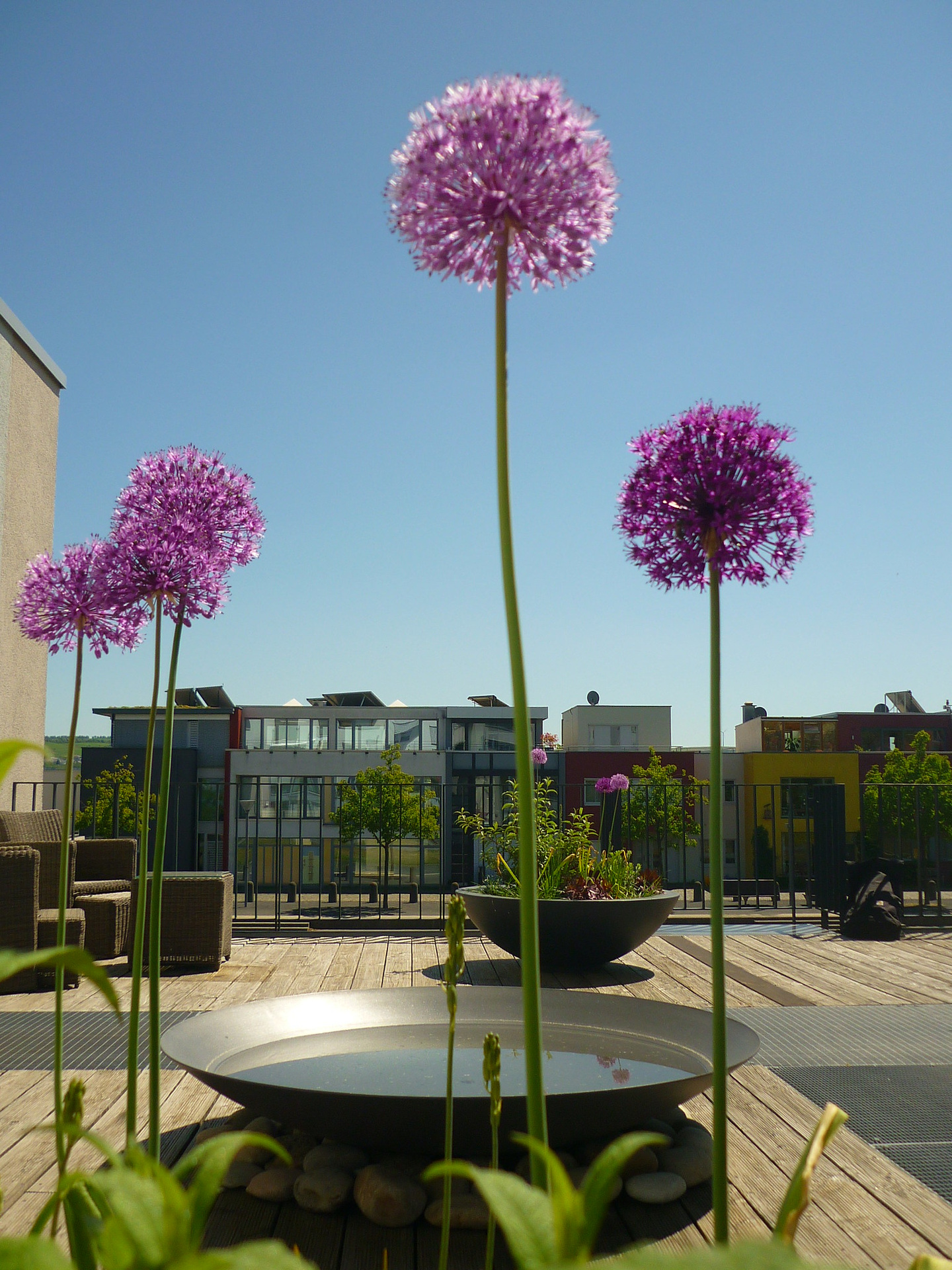 水边露台庄园丨Jörg Kaspari-14