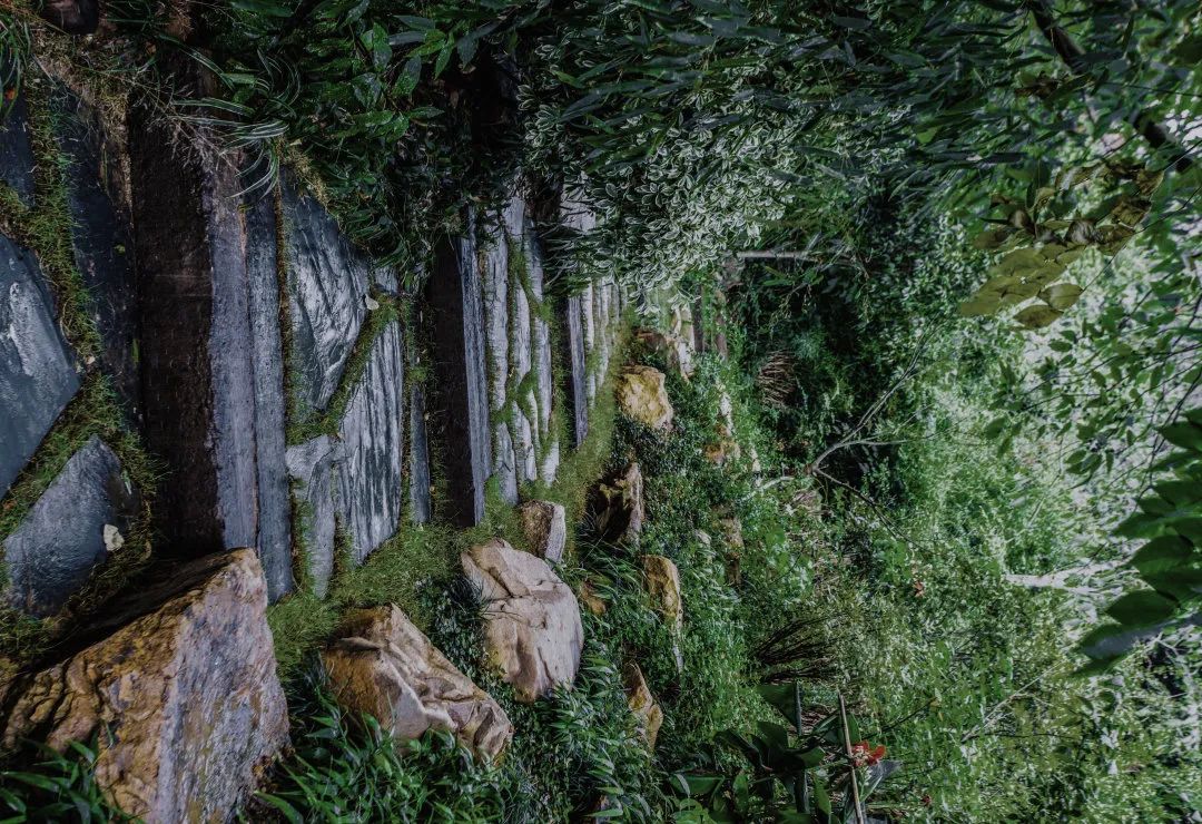 重塑人与自然的连接｜开元森泊度假酒店-71