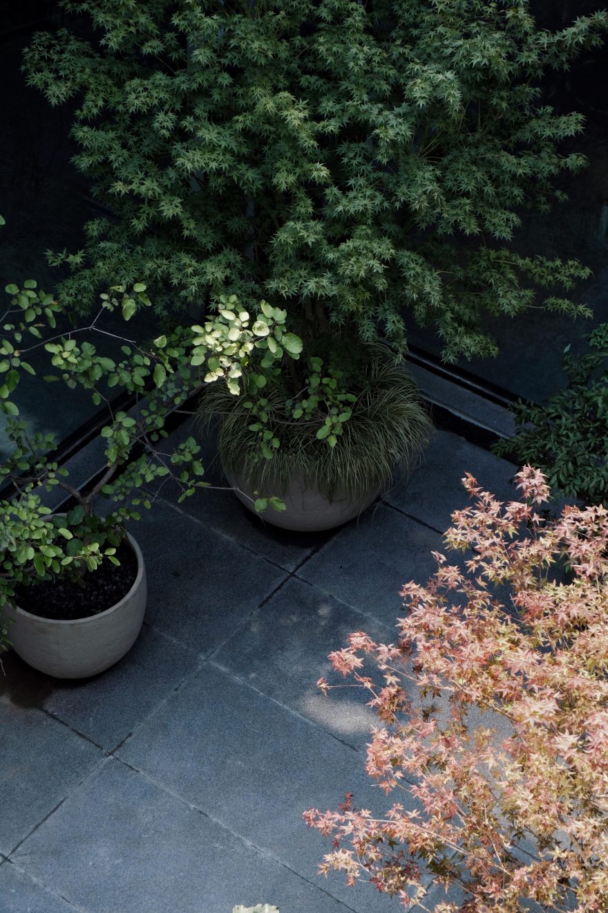 Urbanroots地下室花园丨中国北京丨Diff architecture studio-38