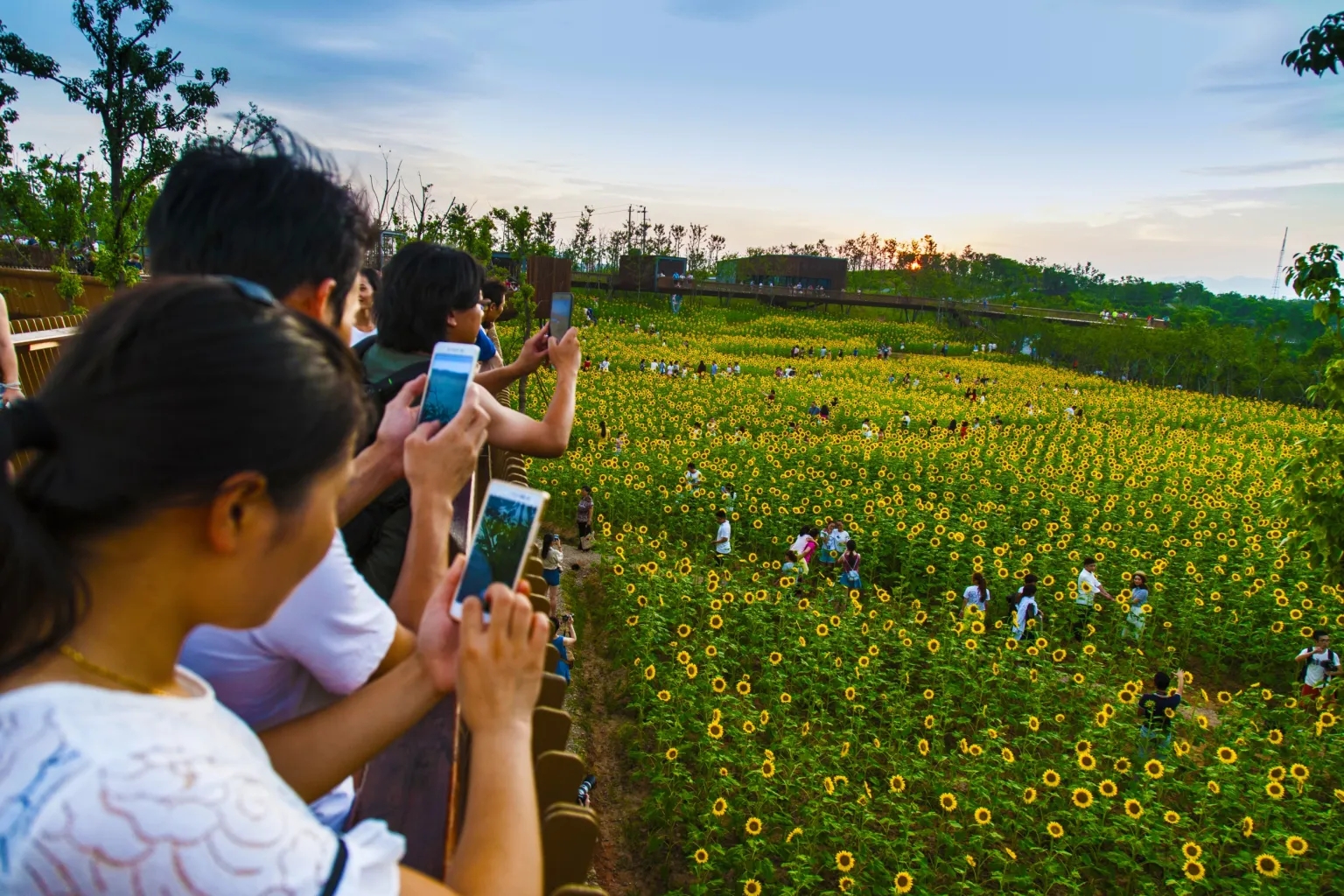 衢州鹿鸣公园丨中国衢州丨土人设计-12