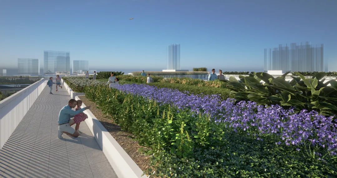 深圳高级中学（集团）北校区扩建项目丨中国深圳丨华阳国际设计集团-22