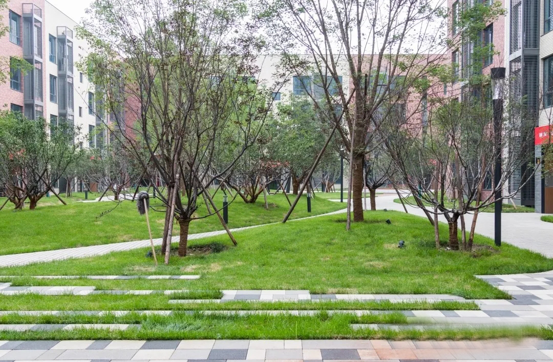 廊坊嘉都·合院住宅景观丨中国河北丨阿拓拉斯规划设计-19