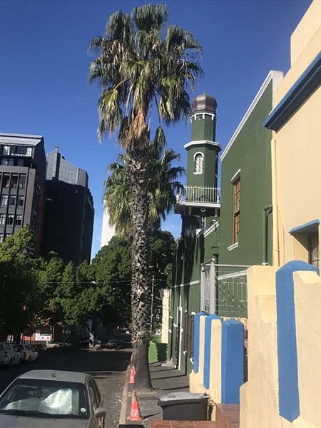 丨南非开普敦-6