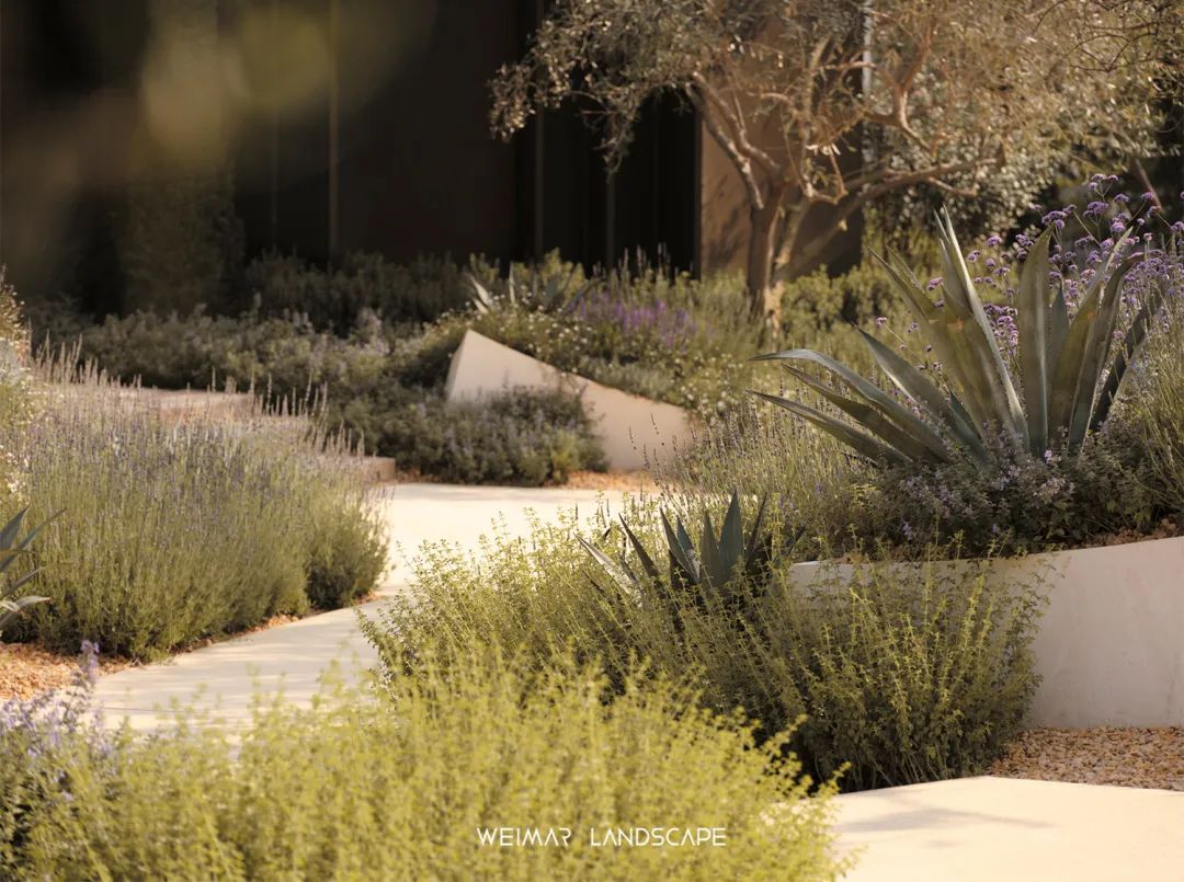 天琴澄音|万华麓湖C16样板岛-76