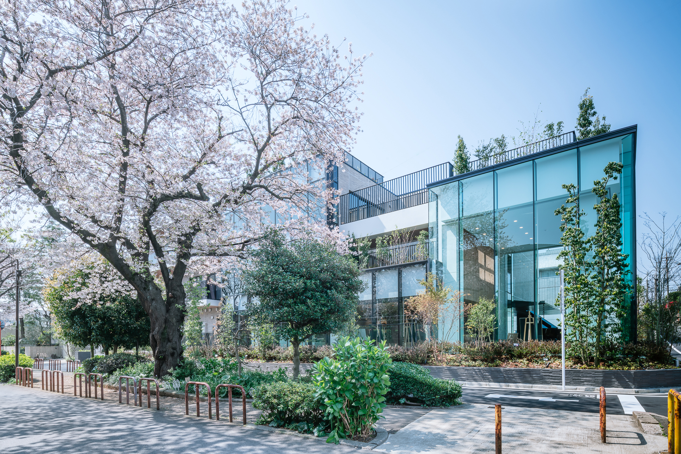 查姆总理柏木坂丨NIKKEN HOUSING SYSTEM LTD-6