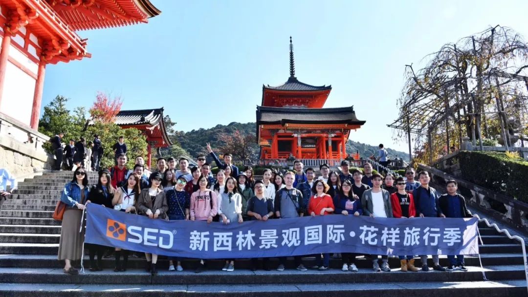 《啥是佩奇》中的设计思考-119