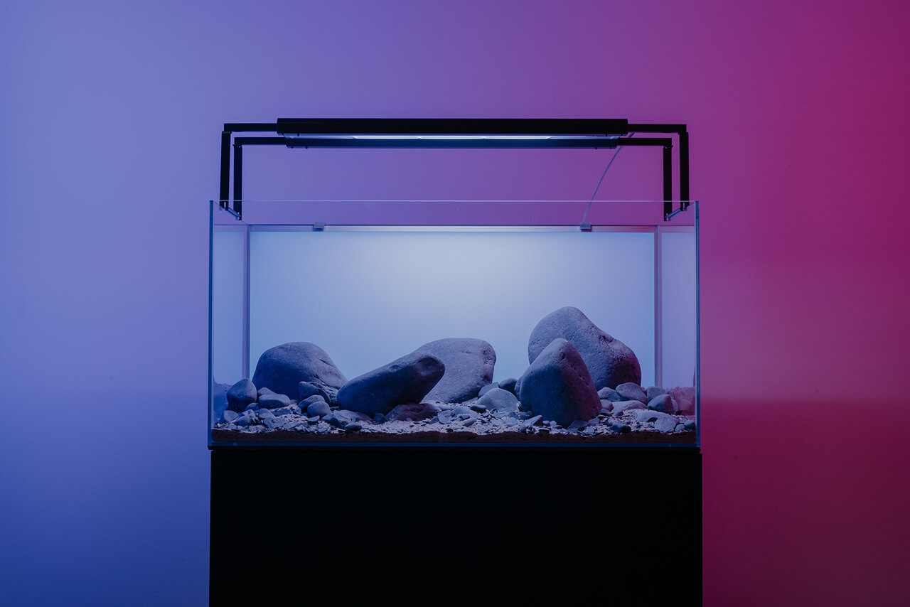 Akwarystyczne aranżacje od TRZMIEL zaprojektowane przez youtubera Zenon Aqua - PLN Design-0