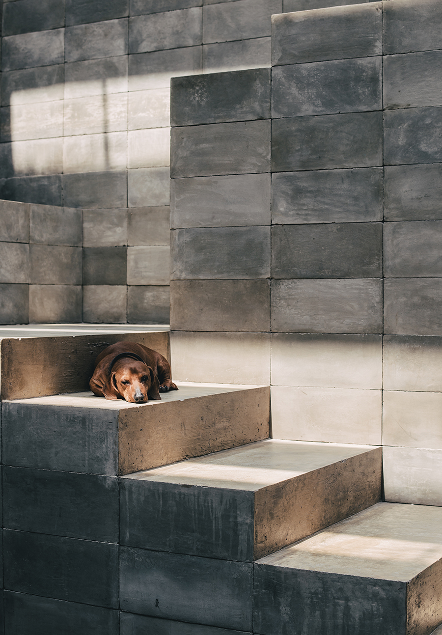 Pedro Reyes工作室及住宅复合空间丨墨西哥墨西哥城丨Pedro Reyes团队-37