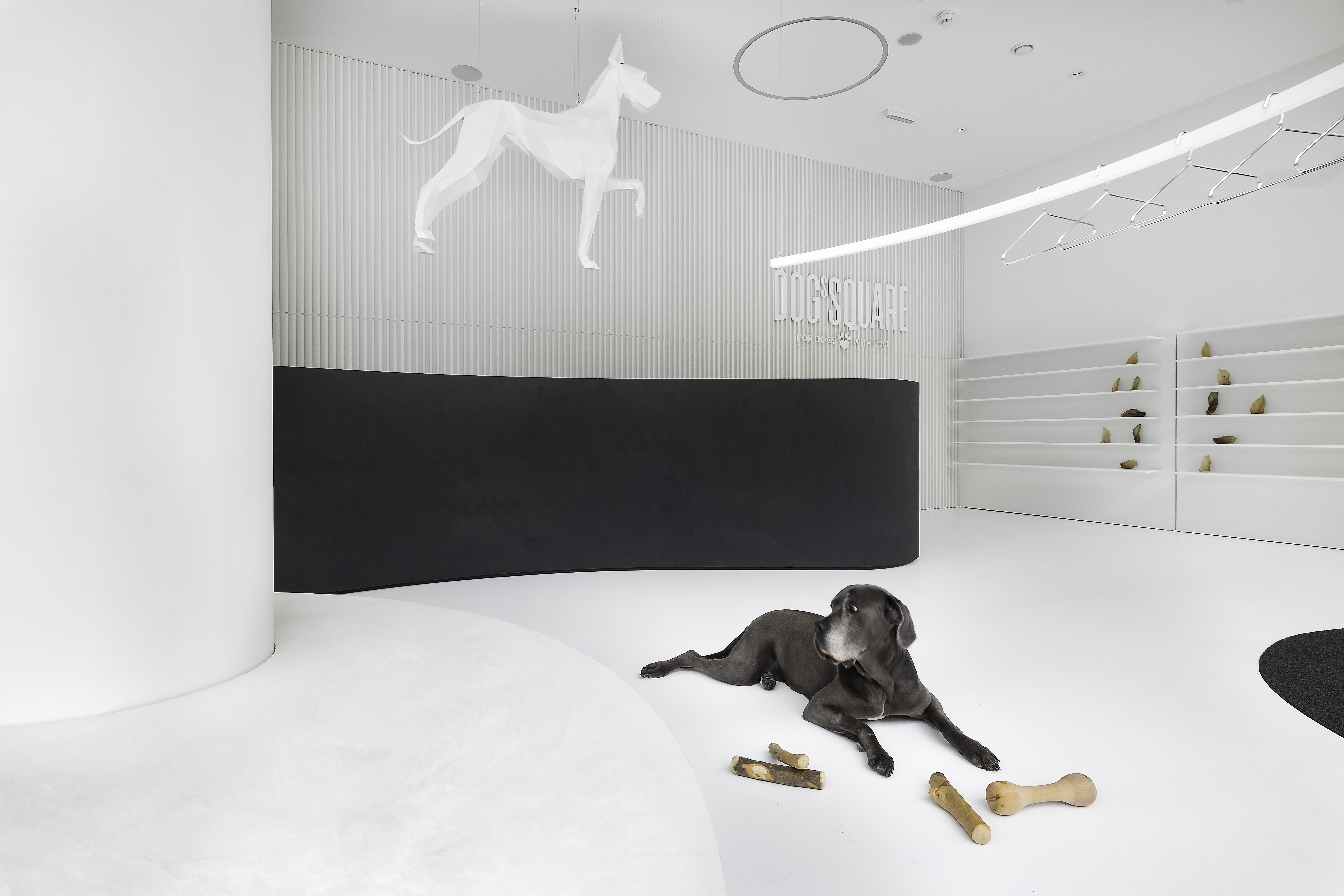 狗广场画廊丨斯洛伐克布拉迪斯拉发丨atelier 27.9-17