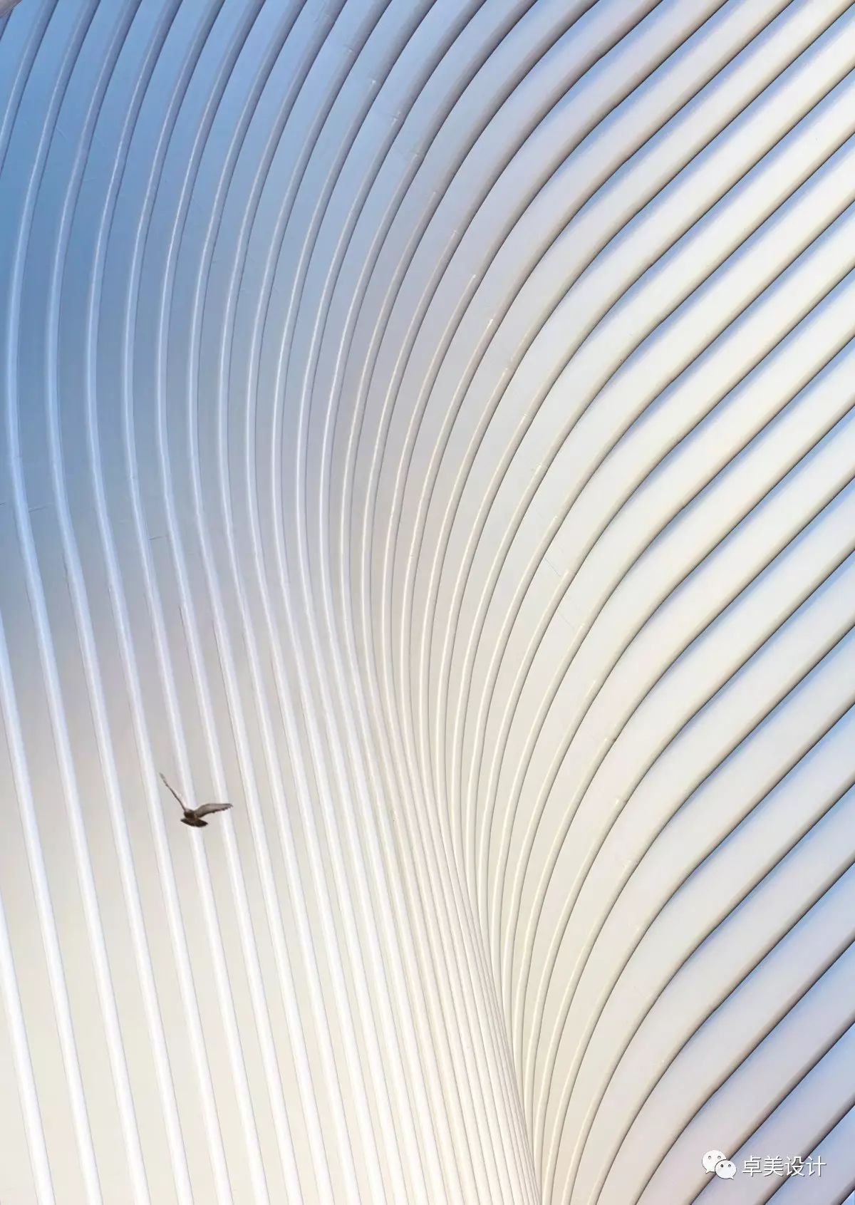 一栋名字有点长的交通枢纽特色建筑-25