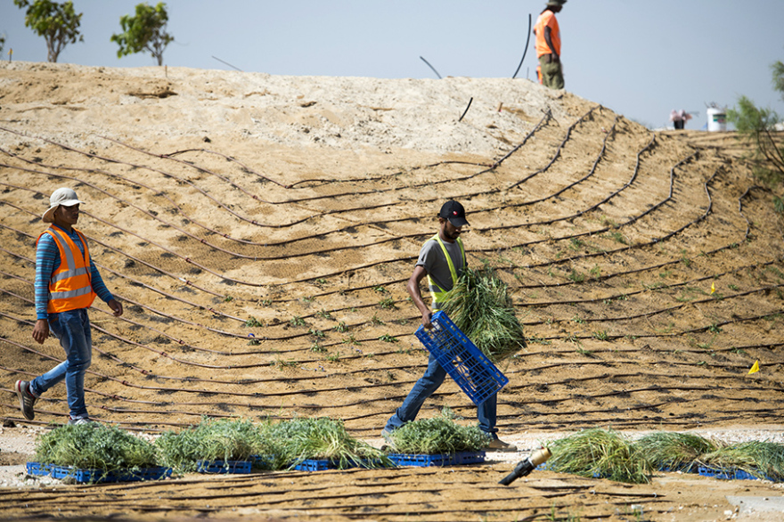 阿什克伦海洋公园 / Mayslits Kassif Roytman Architects-31