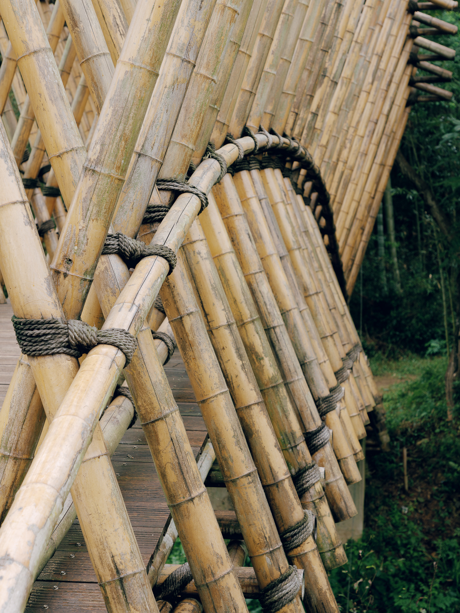 Qingshan village bamboo bridge-8