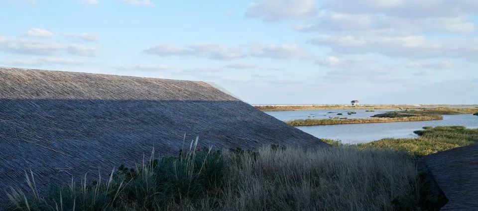 "一体两面"的崇明东滩湿地科研宣教中心-72