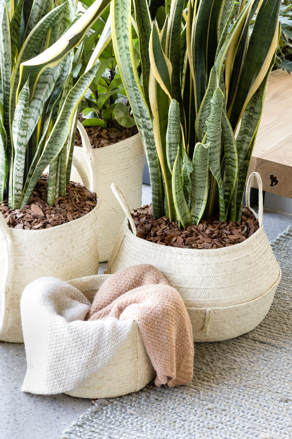 巴西 KTS 公寓 | 北欧风情的现代绿意空间-27