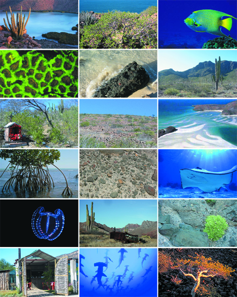 丨墨西哥丨Wendell Burnette Architects-12