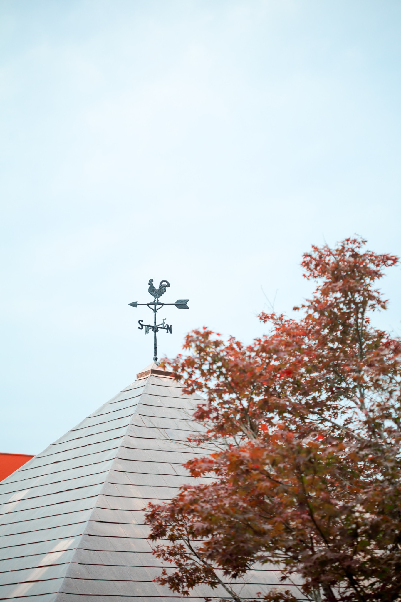 女の都幼稚園-10