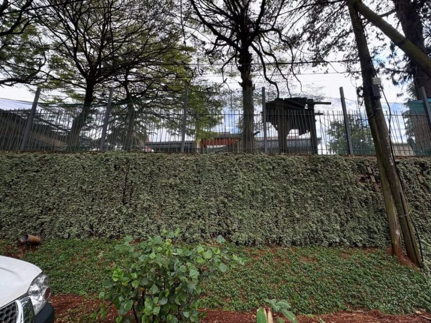 肯尼亚可持续住宅项目丨Sketch Studio-16