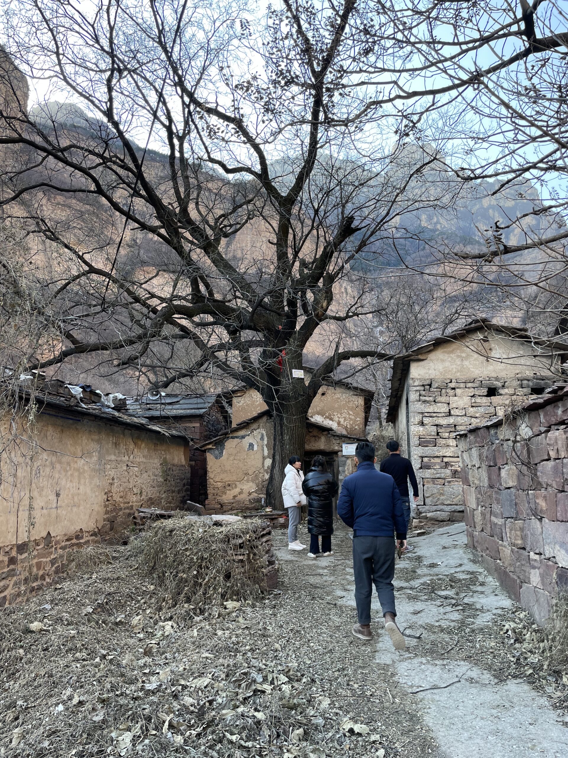 不远太行文化度假酒店丨中国安阳丨回响(上海)建筑设计有限公司-8