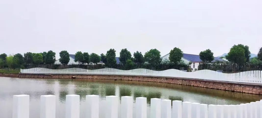 台州小羽农场-21