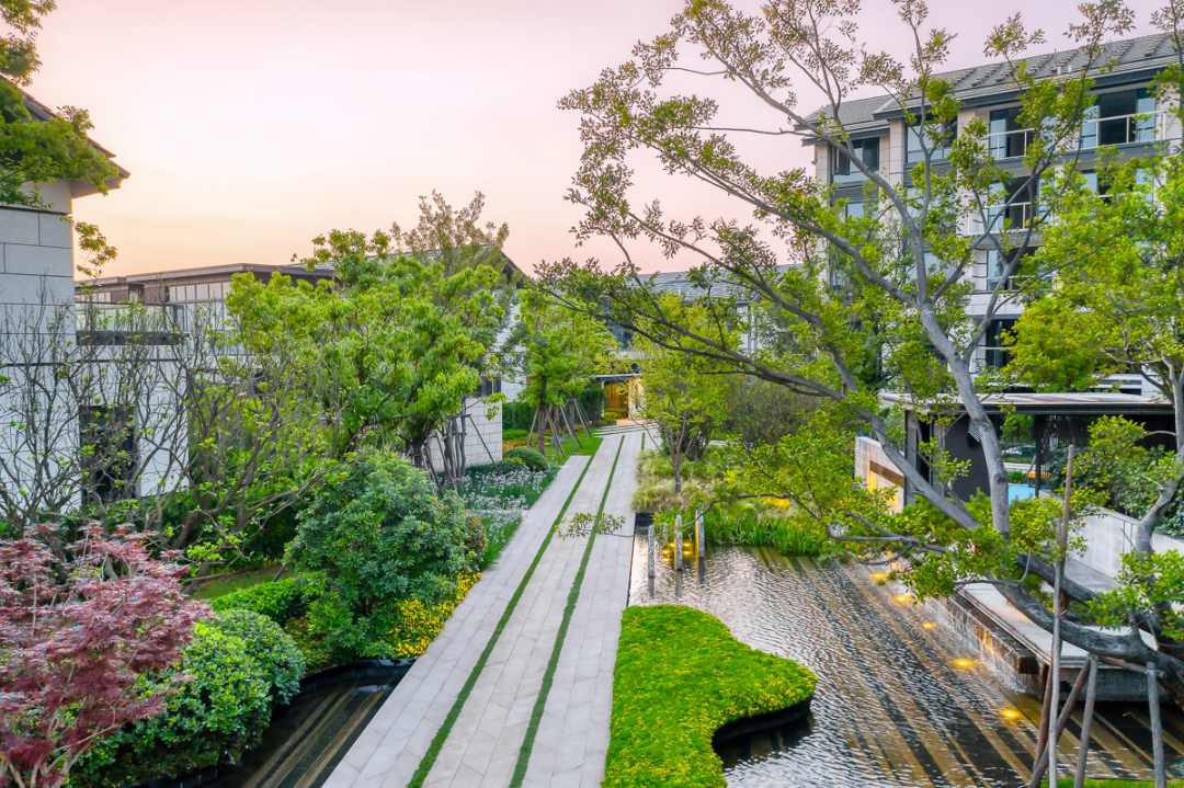 苏州鲁能泰山九号-91