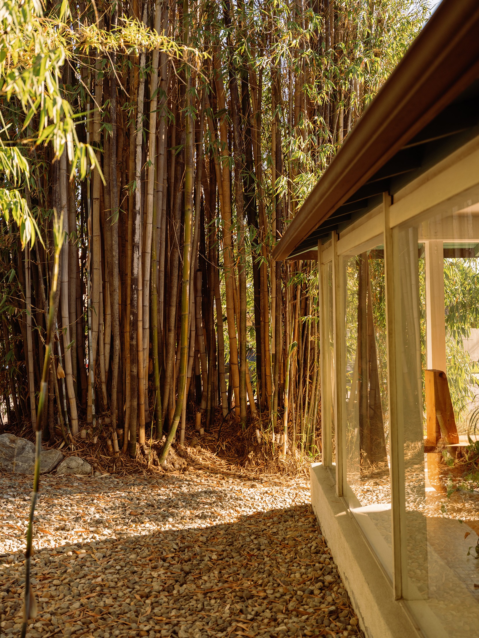 门前野趣丨TERREMOTO-25