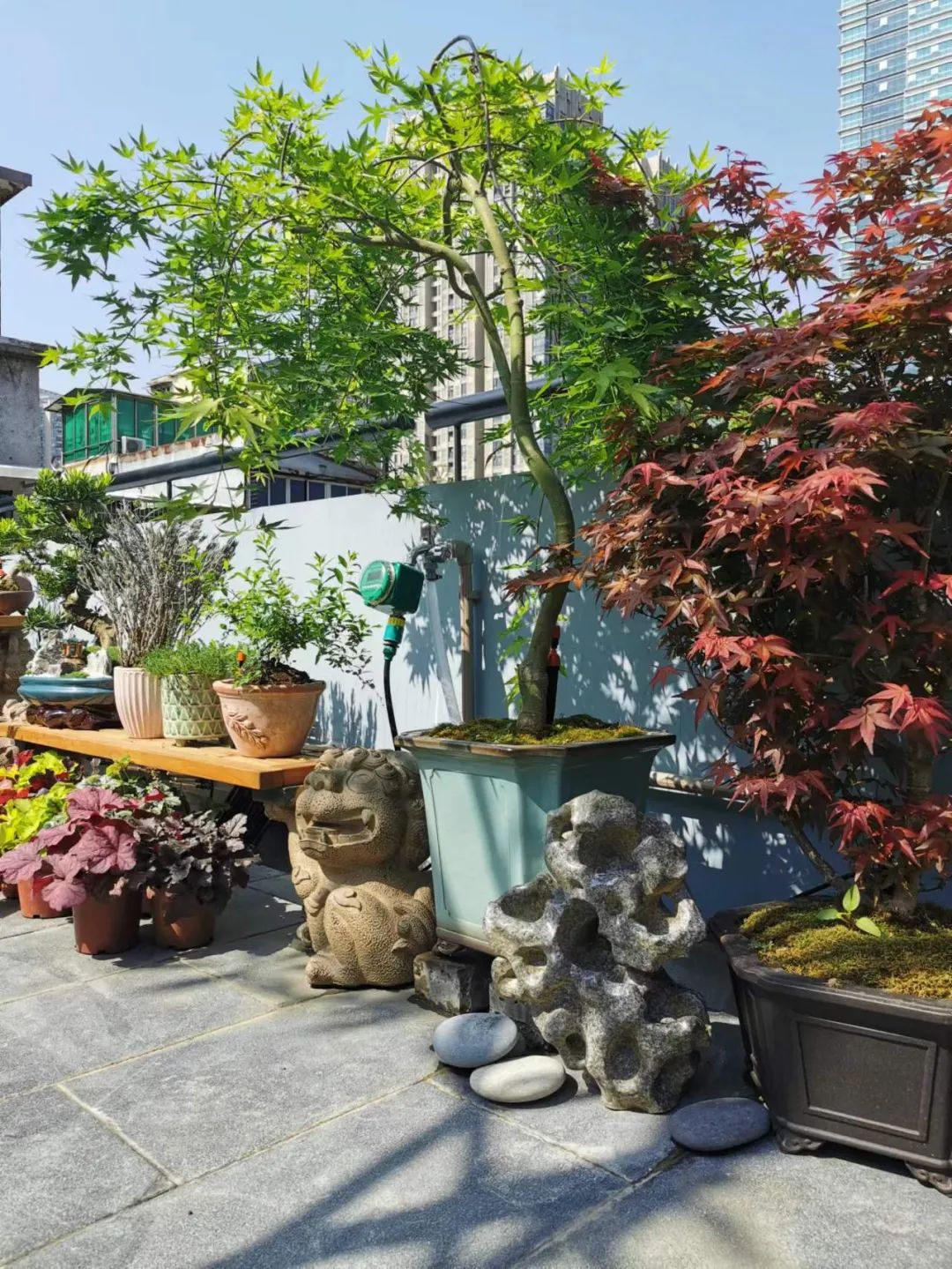 广州百年老宅改造丨中国广州丨设计师黄翔-103