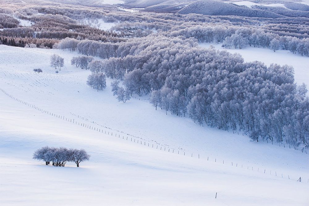 山居艺术 | 云间桃树,泉鸣林深-66